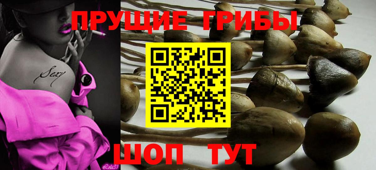 Псилоцибиновые грибы прущие грибы  Вход с VPN  Дубна  Галлюциногенные грибы прущие грибы 
